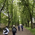 Camino Francés: Burgos - Rabé de las Calzadas