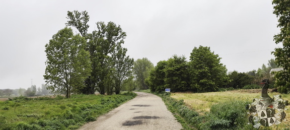 Camino Francés: Burgos - Rabé de las Calzadas