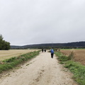 Camino Francés: Burgos - Rabé de las Calzadas