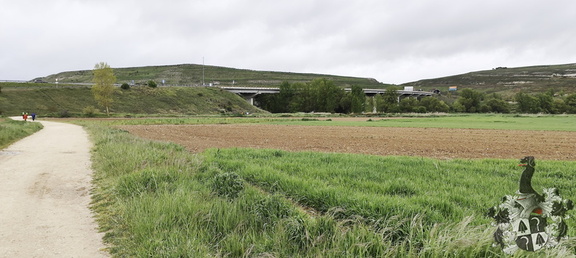 Camino Francés: Burgos - Rabé de las Calzadas
