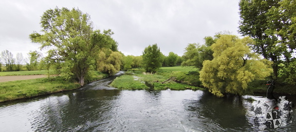 Camino Francés: Burgos - Rabé de las Calzadas