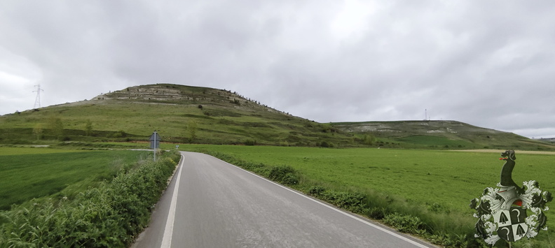 20240505-101843-0026-Burgos-Rabe_de_las_Calzadas.jpg