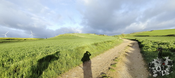 Camino Francés: Rabé de las Calzadas - Hontanas