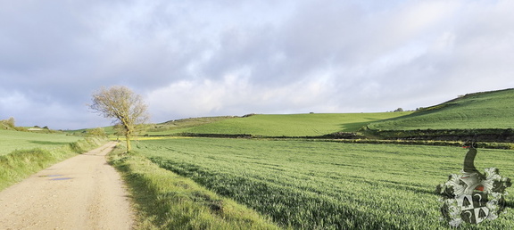 Camino Francés: Rabé de las Calzadas - Hontanas