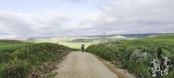 Camino Francés: Rabé de las Calzadas - Hontanas
