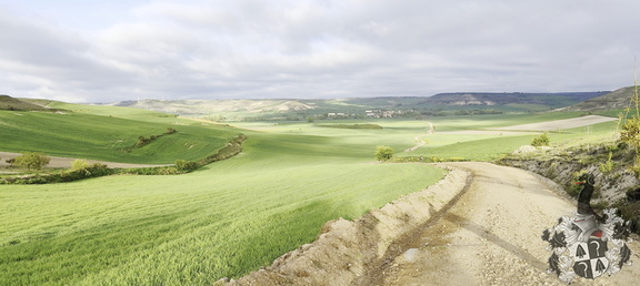 Camino Francés: Rabé de las Calzadas - Hontanas