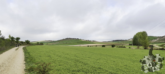Camino Francés: Rabé de las Calzadas - Hontanas