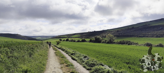 Camino Francés: Rabé de las Calzadas - Hontanas