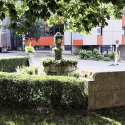 2024-06-23 - Brunnenfest Wunsiedel