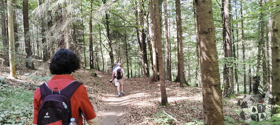 Jakobsnebenweg: Pegnitz - Gößweinstein