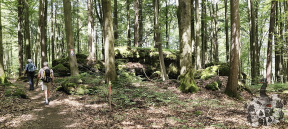 Jakobsnebenweg: Pegnitz - Gößweinstein