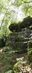 Jakobsnebenweg: Pegnitz - Gößweinstein