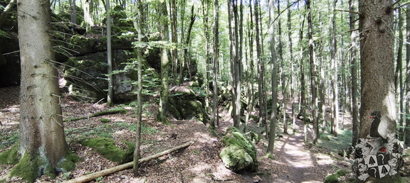Jakobsnebenweg: Pegnitz - Gößweinstein