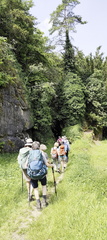 Jakobsnebenweg: Pegnitz - Gößweinstein