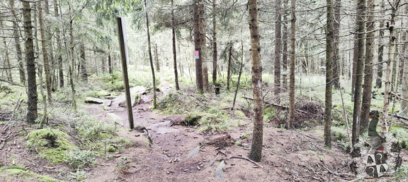 Rundwanderweg Silberhaus Platte