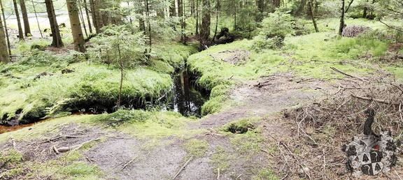 Rundwanderweg Silberhaus Platte