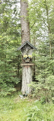 Rundwanderweg Silberhaus Platte