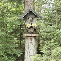 Rundwanderweg Silberhaus Platte