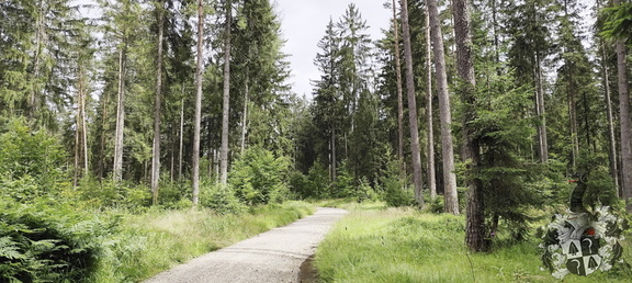 Rundwanderweg Silberhaus Platte