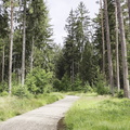 Rundwanderweg Silberhaus Platte