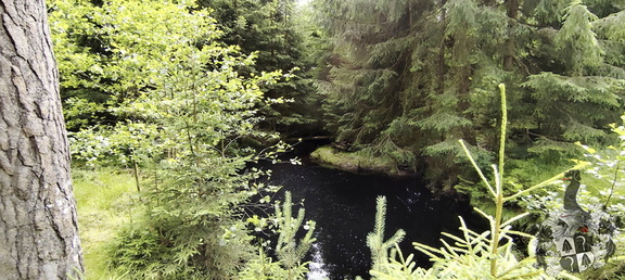 Rundwanderweg Silberhaus Platte