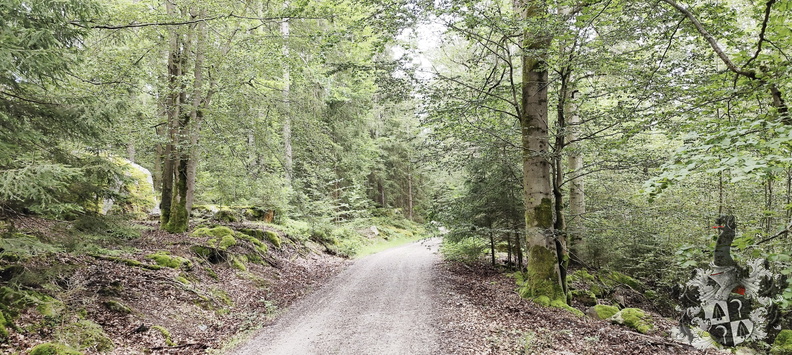 20240705-161105-0011-Rundwanderweg-Silberhaus-Platte.jpg