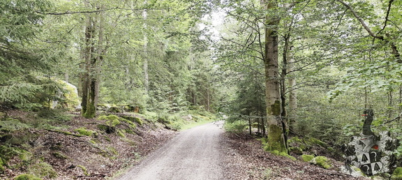 Rundwanderweg Silberhaus Platte