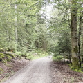 Rundwanderweg Silberhaus Platte