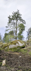 Rundwanderweg Silberhaus Platte
