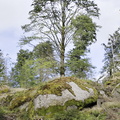 Rundwanderweg Silberhaus Platte
