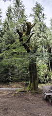 Rundwanderweg Silberhaus Platte
