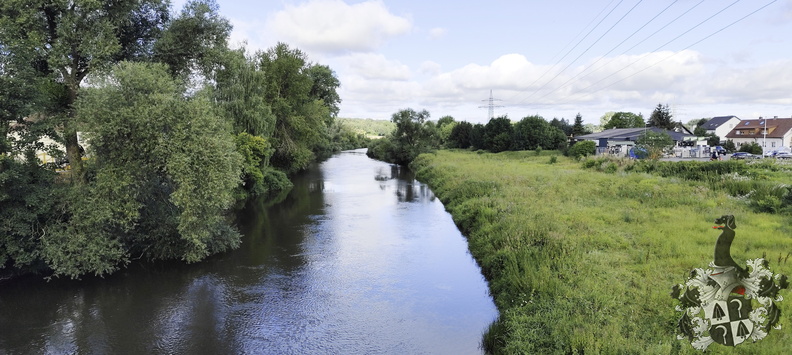 Main bei Altenkunstadt 20240713-084924-0000-Mainwanderweg_Burgkunstadt_Lichtenfels.jpg