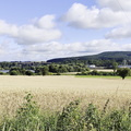 Main-Wanderweg: Burgkunstadt - Lichtenfels