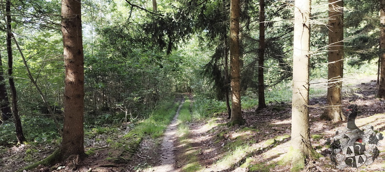 Main-Wanderweg: Burgkunstadt - Lichtenfels - 20240713-092421-0003-Mainwanderweg_Burgkunstadt_Lichtenfels.jpg 20240713-092421-0003-Mainwanderweg_Burgkunstadt_Lichtenfels.jpg