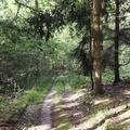 Main-Wanderweg: Burgkunstadt - Lichtenfels