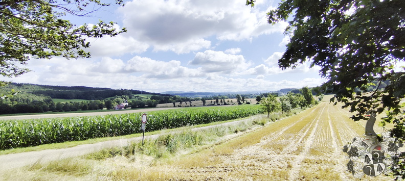 Schöne Aussicht 20240713-094102-0007-Mainwanderweg_Burgkunstadt_Lichtenfels.jpg