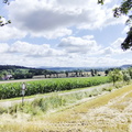 Main-Wanderweg: Burgkunstadt - Lichtenfels