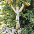 Main-Wanderweg: Burgkunstadt - Lichtenfels