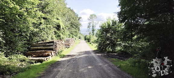 Main-Wanderweg: Burgkunstadt - Lichtenfels