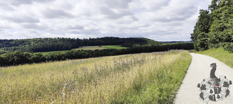 Main-Wanderweg: Burgkunstadt - Lichtenfels - 20240713-103022-0016-Mainwanderweg_Burgkunstadt_Lichtenfels.jpg 20240713-103022-0016-Mainwanderweg_Burgkunstadt_Lichtenfels.jpg