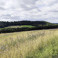 Main-Wanderweg: Burgkunstadt - Lichtenfels