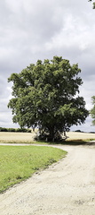 Main-Wanderweg: Burgkunstadt - Lichtenfels