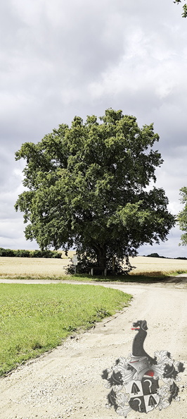 Am kleinen Korches 20240713-104000-0018-Mainwanderweg_Burgkunstadt_Lichtenfels.jpg