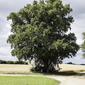 Main-Wanderweg: Burgkunstadt - Lichtenfels
