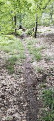 Main-Wanderweg: Burgkunstadt - Lichtenfels