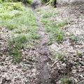 Main-Wanderweg: Burgkunstadt - Lichtenfels