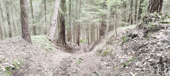 Main-Wanderweg: Burgkunstadt - Lichtenfels
