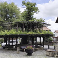 Main-Wanderweg: Burgkunstadt - Lichtenfels