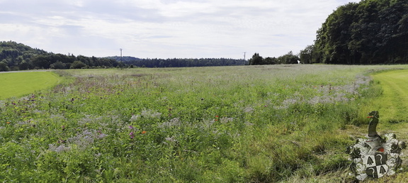 Fränkischer Jakobusnebenweg Gößweinstein - Hiltpoltstein