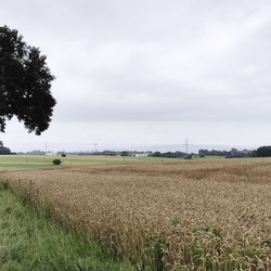 2024-08-01 - Regenspaziergang Hohe Straße